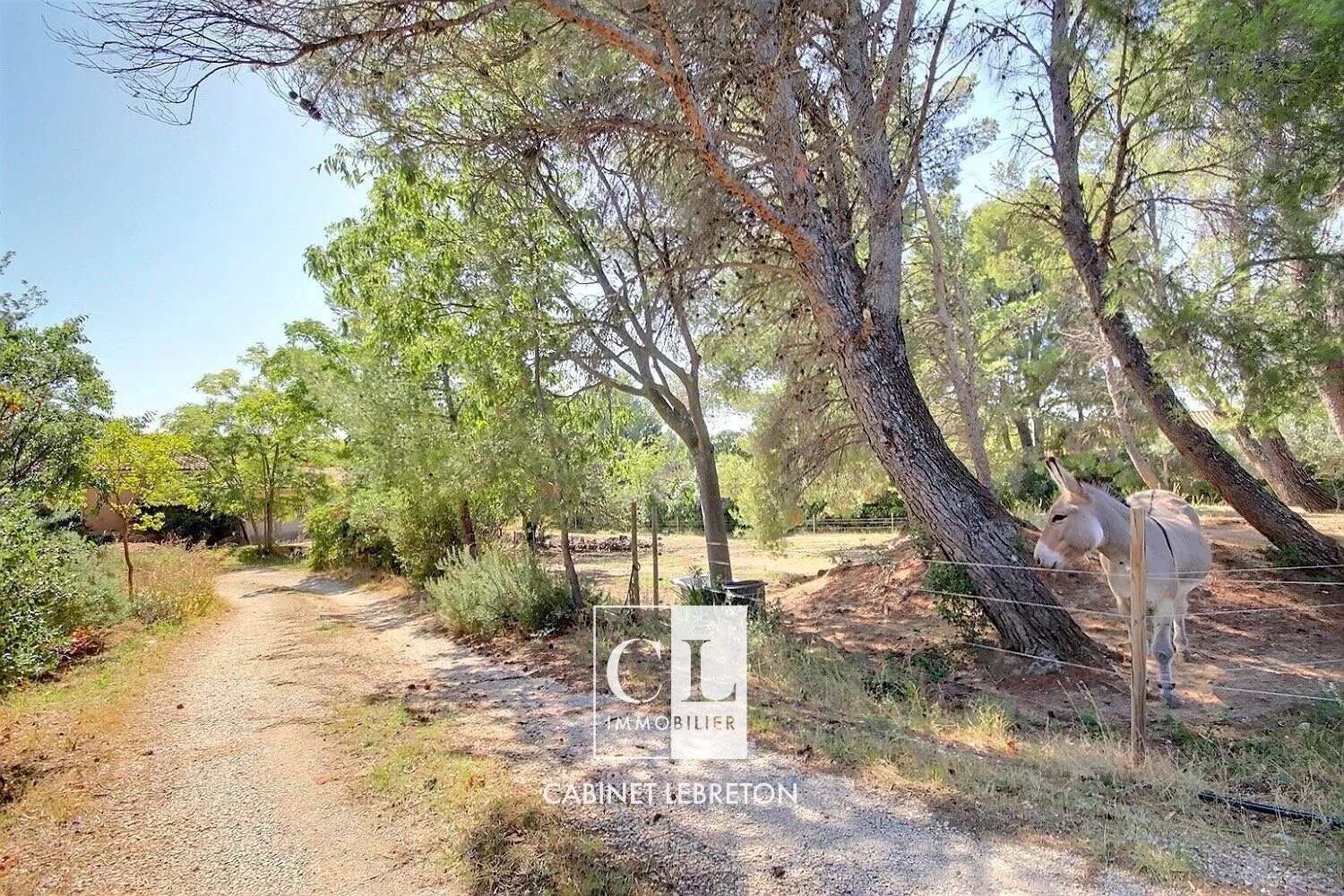 Property view 2