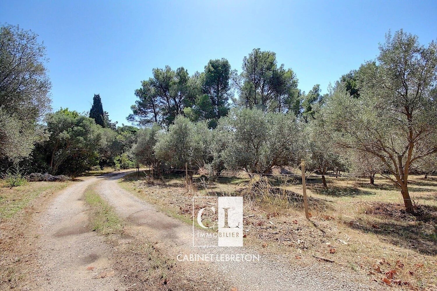 Property view 4